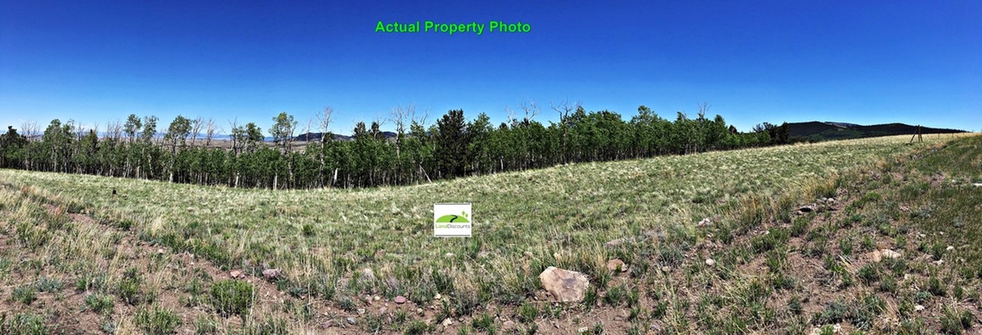 Vacant Land in Park County, CO with amazing view.