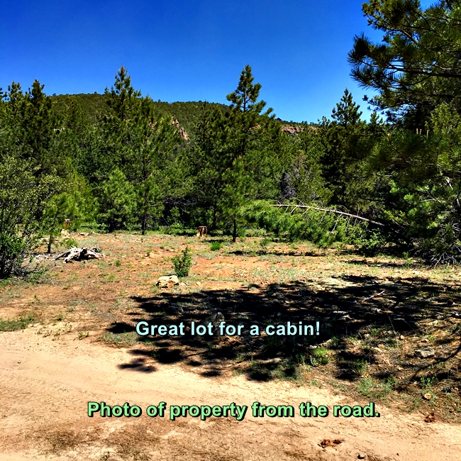 Affordable land for sale near Westcliffe, CO